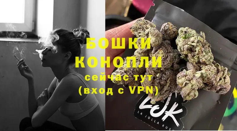 Бошки Шишки OG Kush  Дубовка 